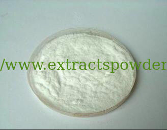 Black Sesame Seed Extract,Black Sesame Seed Extract Powder,Sesame P.E.10%-98% Sesamin
