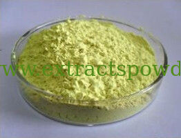 98% Acetate Gossypol,Cotton Seed Extract,Gossypol-acetic acid Cas. No.:12542-36-8