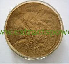 25%-80%Astilbin,Astilbin powder,Engelhardtia Leaf Extract CAS No.:29838-67-3