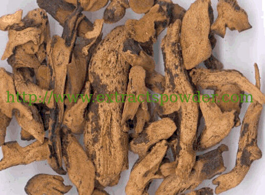Fortune's drynaria rhizome extract,rhizoma drynariae extract,davallia