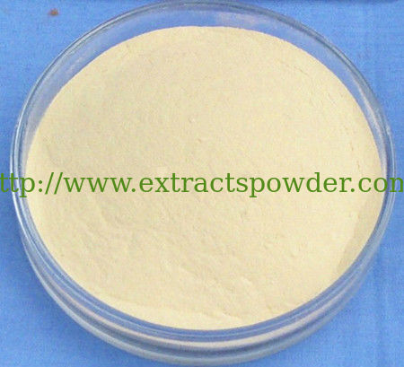 5%-98% salvianic acid a,Danshensu,red sage extract,Salvia root extract CAS:76822-21-4