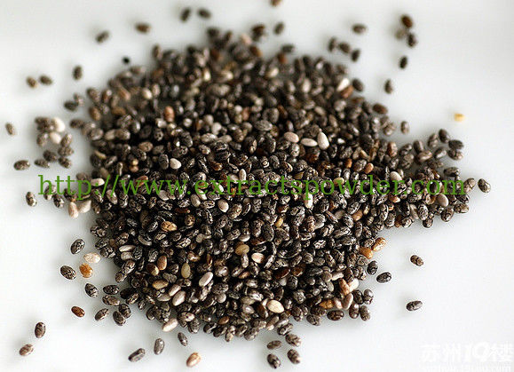 chia seed extract,chia seed powder,chia seed extract powder 10:1