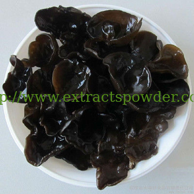 Auricularia auricula extract,black fungus extract,Black Wood Ear Extract,Black mushroom Extract