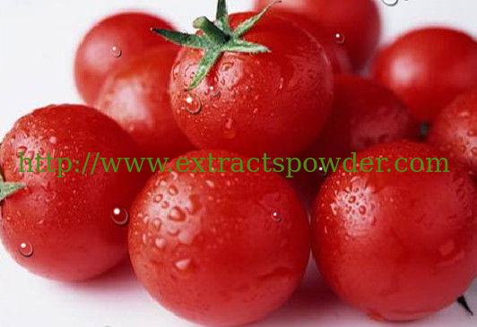 Antioxidant tomato extract lycopene, lycopene powder 5%-90% CAS NO.: 502-65-8