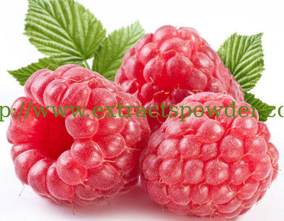 chinese Raspberry extract powder anthocyanidins 25% /Raspberry ketone 15% CAS:84082-34-8