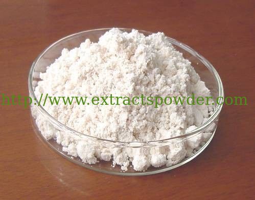 98% Magnolol,Natural Magnolol Powder Cas.：528-43-8