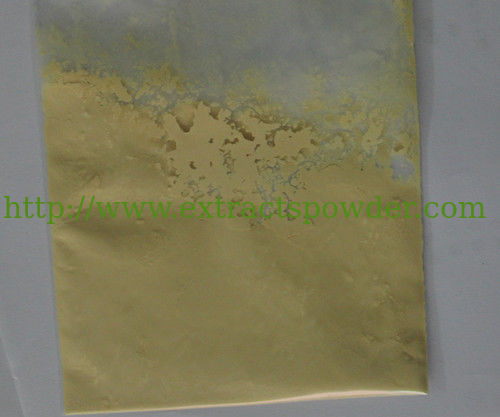 Ginseng Root Extract Powder (Ginsenosides 7%) Used in Food Supplement Cas.: 72480-62-7