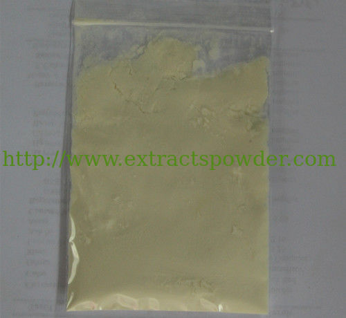 100% natural American ginseng root extract powder ginsenoside 80% for dietary supplements