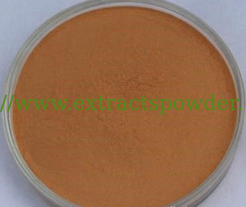 Radix Salviae Miltiorrhizae Extract, Danshen Extract, salvianolic Acid B cas.# 115939-25-8