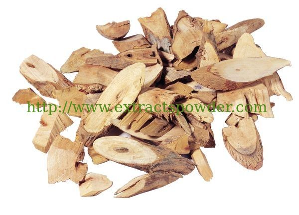 plant extract Angelica P.E., Dong Quai P.E., Dang Gui Extract,Ligustilide CAS No:4431-01-0