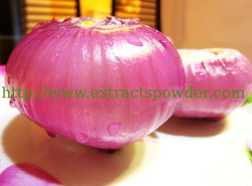 pure natural onion extract quercetin 20%, 10:1 CAS No.: 117-39-5