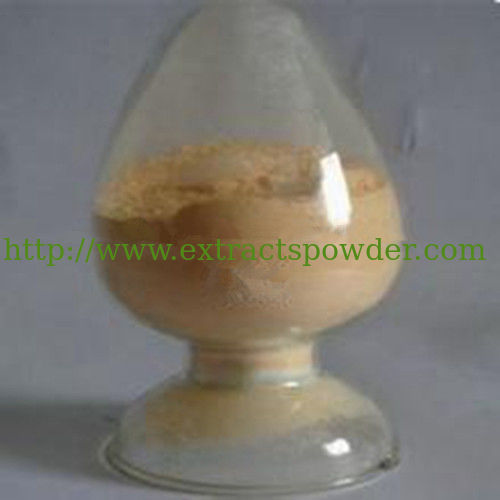 Earthworm Powder 26000IU/mg Lumbrukinase CAS:556743-18-1