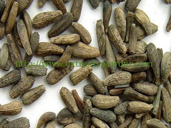 Chinese herbal Burdock Seed Extract Arctiin 10%-30%HPLC