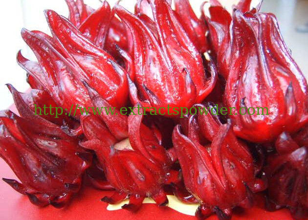 food supplement roselle extract powder 10:1