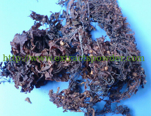 Seaweed extract 10% amylose Cas.: 9005-82-7