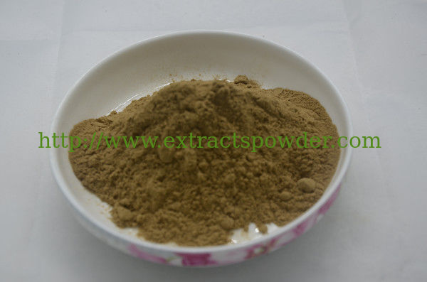 Supply Natural Yucca Extract,Sarsaponin,Sarsaponin powder,CAS No:90147-57-2