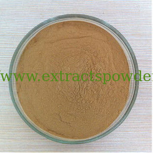 Chinese herbal Lentinus Edodes Extract Lentinan 10%-50%