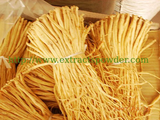 natural Pilose Asiabell Root extract /Codonopsis Pilosula Extract 10:1