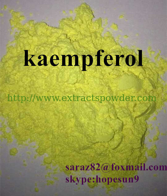 10%-98% Kaempferol, Kaempferol Extract, Kaempferol Extract Powder CAS:520-18-3