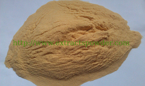 camellia seed extract,camellia japonica seed extract,camellia sinensis seed extract