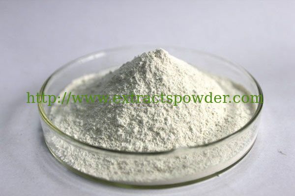 salicin from willow bark,15 salicin,25 salicin,60 salicin, 98 salicin CAS No. : 138-52-3