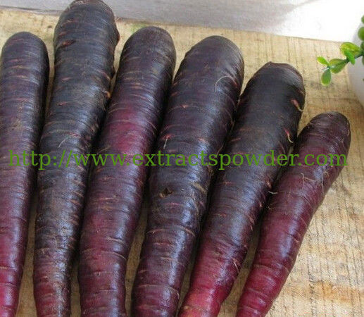 Standardized Black Carrot Extract Anthocyanin 5~25