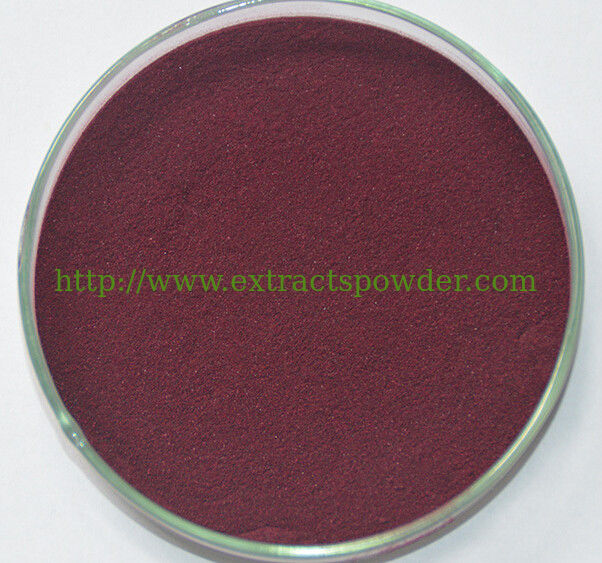 100% natural black carrot extract powder color value 70-90