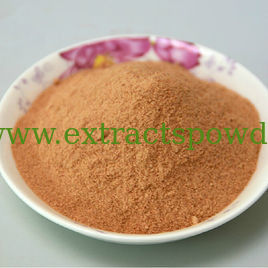 health food additive Hawthorn Fruit Powder