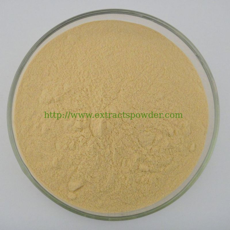 sea buckthorn berry extract-bulk,seabuckthorn fruit extract for dietary supplement