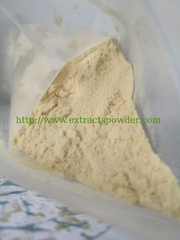 Tongkat Ali Extract/Tongkat Ali Root Extract/Tongkat Ali Extract Powder