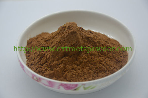 Natural Cyclocarya Paliurus Extract 4:1 10:1, Cyclocarya Paliurus Extract Powder