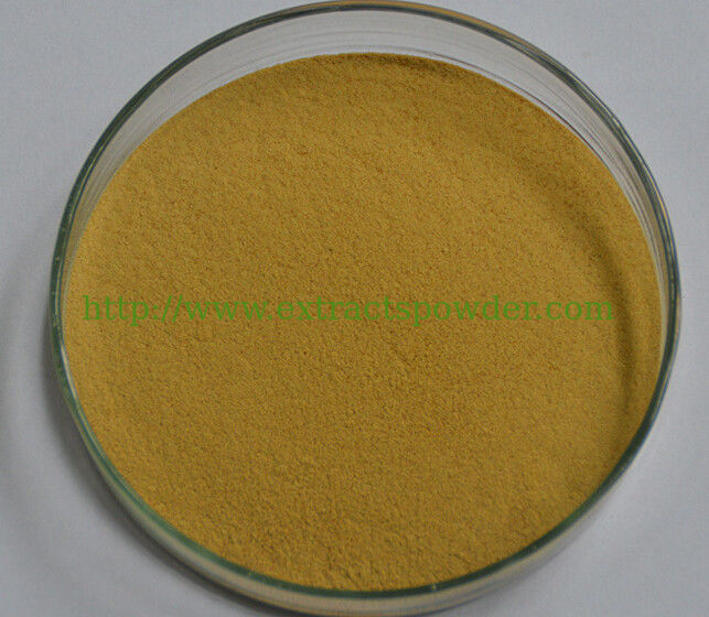 good water soluble lemon balm leaf extract/melissa officinalis extract for beverages