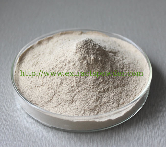 food and pharm grade pancreatin enzymes 2,000-4,000 u/g cas 8049-47-6