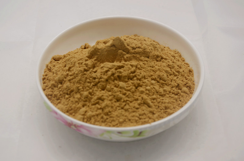 Antrodia cinnamomea Extract/Antrodia cinnamomea polysaccharide