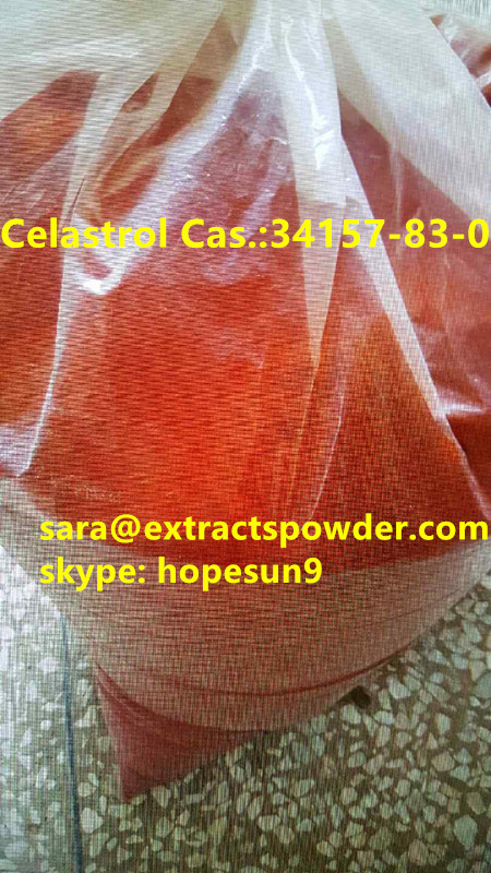 pure Celastrol 98,99 from root of Tripterygium wilfordii Extract 34157-83-0